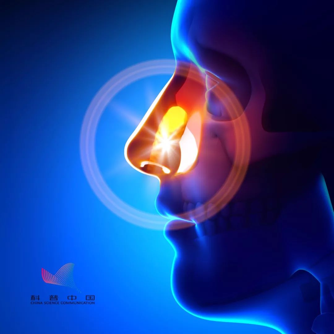 鼻癌和鼻咽癌有什么区别？_科普中国网