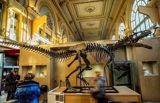 霸气买买买法国买家拍下7米长恐龙骨架化石（图）