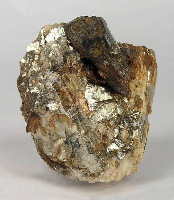 图6 - 铌铁矿石（图片来源：Wikipedia）