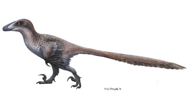 根据最新发现制作的恐爪龙复原图。