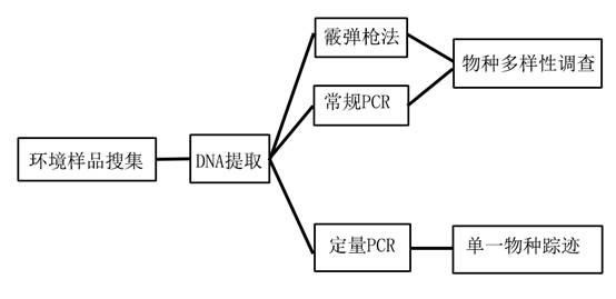 eDNA-2.jpg