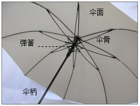 伞的结构