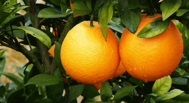 a5630210_s.gif