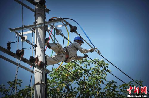 资料图：福州一电力作业人员冒37度高温爬上电杆作业，确保民众在最短时间内恢复供电。王东明 摄
