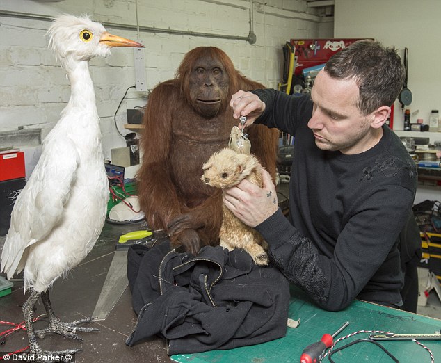 BBC利用动物机器人拍纪录片 机器人栩栩如生