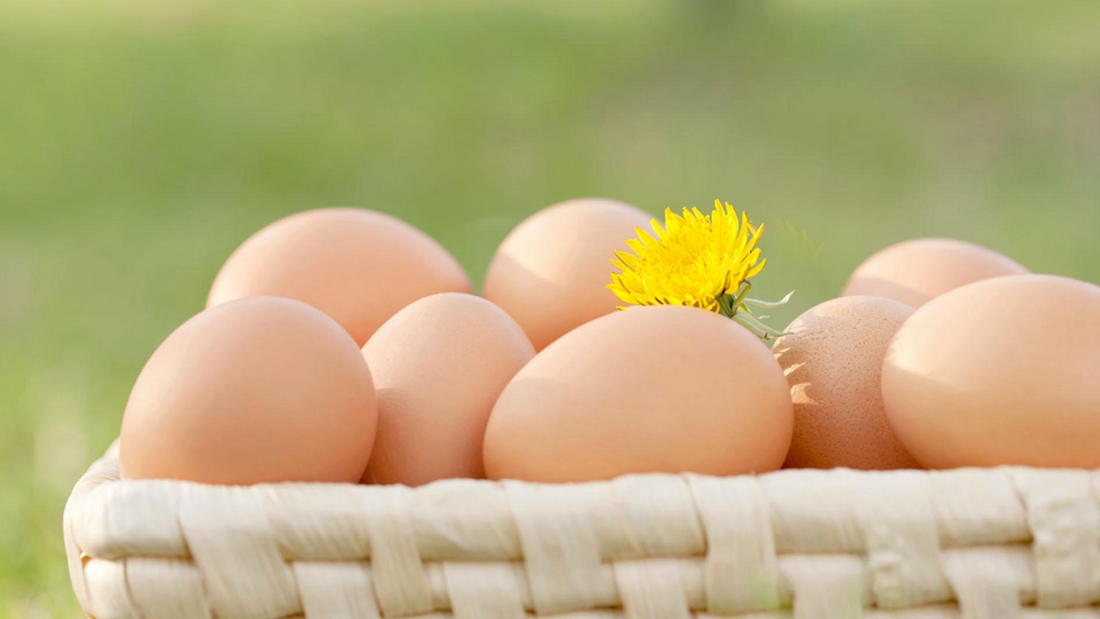 鸡蛋生吃会更有营养吗？的头图