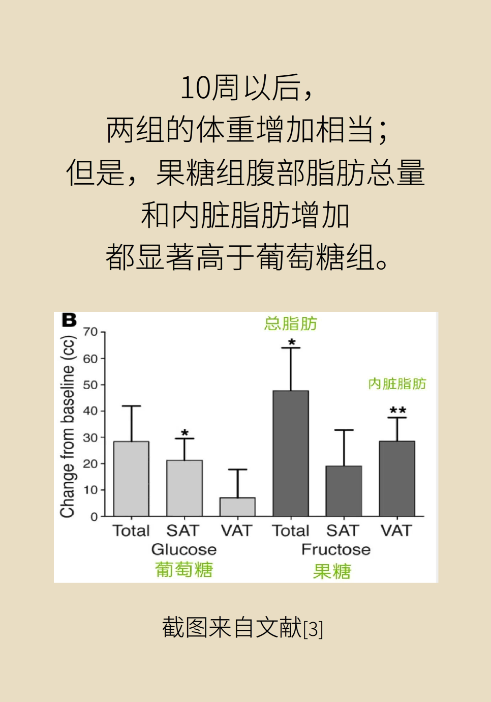 瘦肚子医学科普动漫