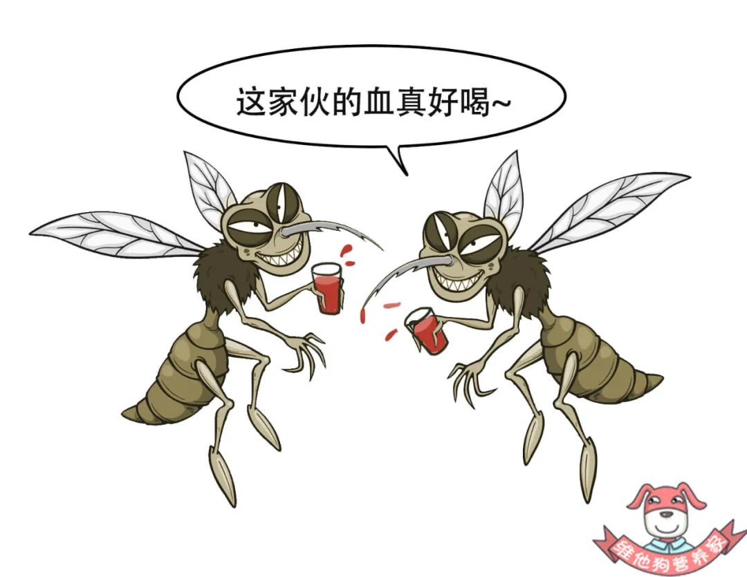 世界蚊子日——11个蚊子GIF动画_钢棍蟹师傅-站酷ZCOOL
