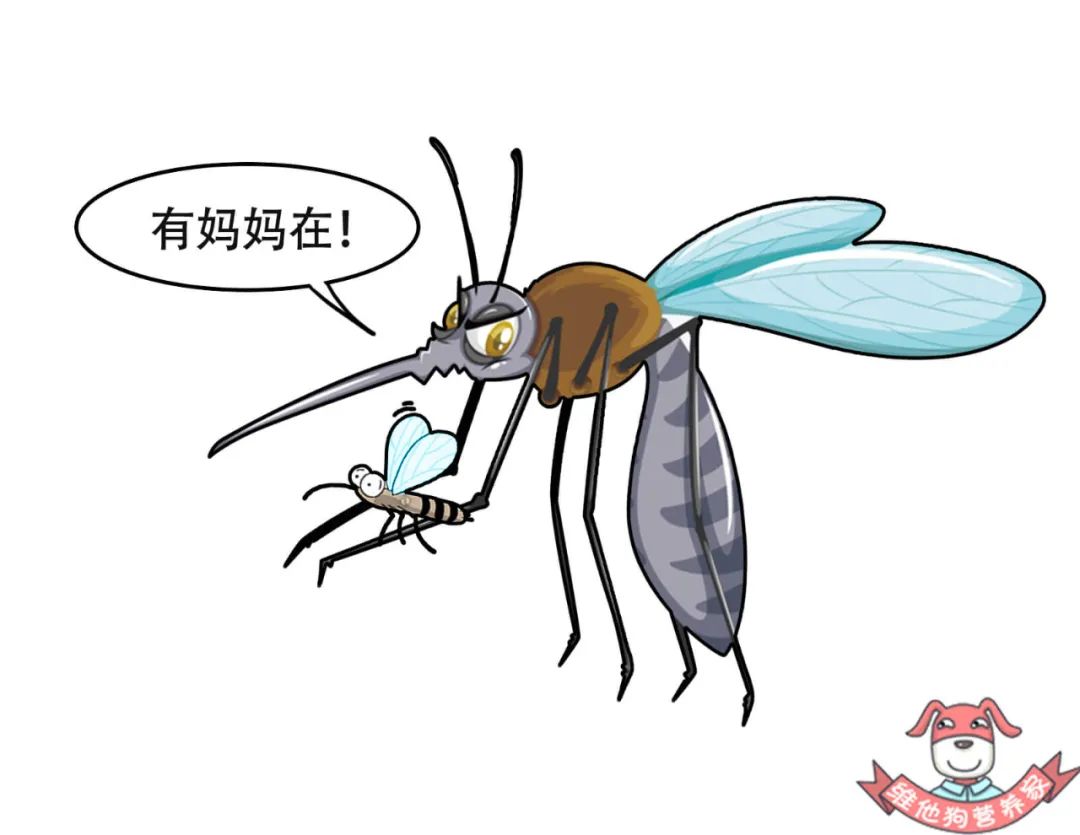 【热点解读】蚊虫叮咬也有高峰期 总被咬的原因找到了--中国数字科技馆
